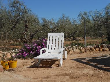 Villa in Amposta (Tarragona) or holiday homes and vacation rentals