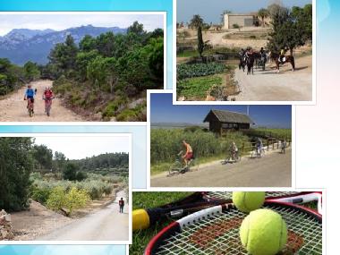 Villa in Amposta (Tarragona) or holiday homes and vacation rentals