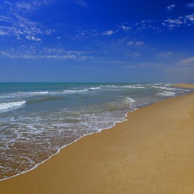 Villa in Amposta (Tarragona) or holiday homes and vacation rentals