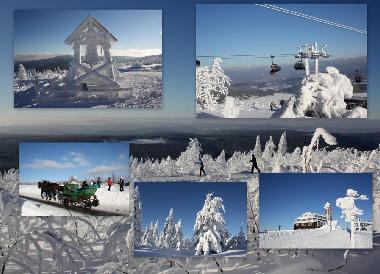 Holiday Apartment in Sehmatal Neudorf (Erzgebirge) or holiday homes and vacation rentals