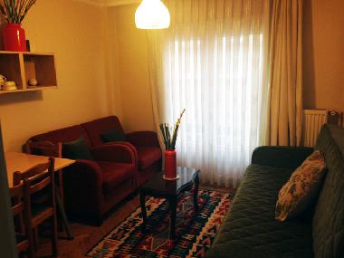 Holiday Apartment in Taksim (Istanbul) or holiday homes and vacation rentals