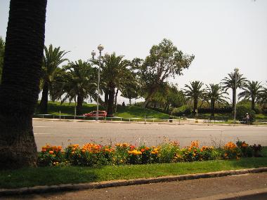 Holiday Apartment in nice (Alpes-Maritimes) or holiday homes and vacation rentals