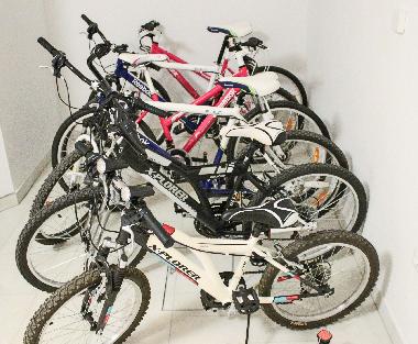 Villa in Zminj (Istarska) or holiday homes and vacation rentals