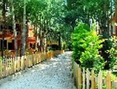 Holiday Apartment in Golem (Durres) or holiday homes and vacation rentals