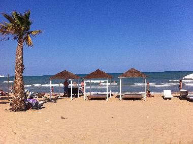 Holiday House in guardamar del segura (Alicante / Alacant) or holiday homes and vacation rentals