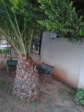 Holiday Apartment in kalamata (Messinia) or holiday homes and vacation rentals