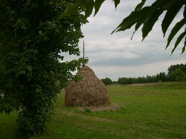 Holiday Apartment in Luebben (Dahme-Spreewald) or holiday homes and vacation rentals