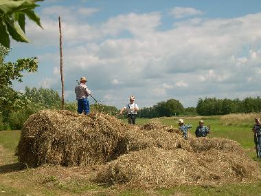 Holiday Apartment in Luebben (Dahme-Spreewald) or holiday homes and vacation rentals