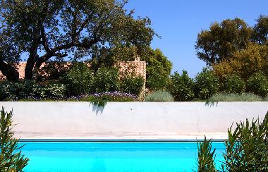Villa in Sainte Lucie de Porto Vecchio (Corse-du-Sud) or holiday homes and vacation rentals