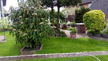 Holiday Apartment in Ueckermnde (Vorpommern) or holiday homes and vacation rentals