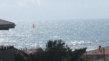 Villa in ANGLET (Pyrnes-Atlantiques) or holiday homes and vacation rentals