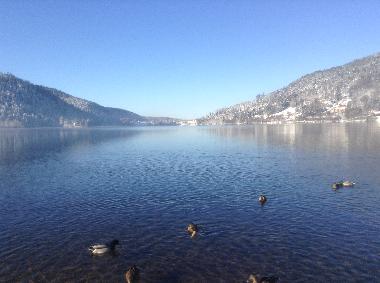 Holiday Apartment in GERARDMER (Vosges) or holiday homes and vacation rentals