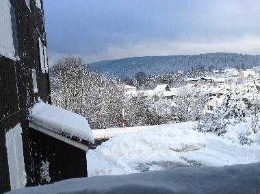 Holiday Apartment in GERARDMER (Vosges) or holiday homes and vacation rentals