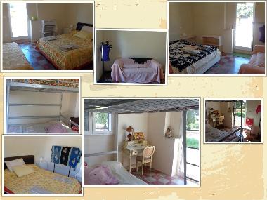 Holiday House in serranova (Brindisi) or holiday homes and vacation rentals