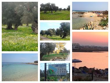 Holiday House in serranova (Brindisi) or holiday homes and vacation rentals