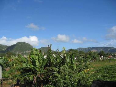 Holiday House in Vi�ales (Pinar del Rio) or holiday homes and vacation rentals