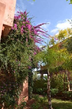 Villa in Marrakech (Marrakech) or holiday homes and vacation rentals