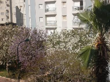 Holiday Apartment in Netanya (HaMerkaz (Central)) or holiday homes and vacation rentals