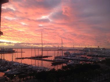 Holiday Apartment in Palma (Mallorca) or holiday homes and vacation rentals