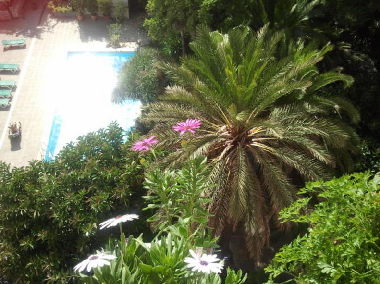 Holiday Apartment in Palma (Mallorca) or holiday homes and vacation rentals