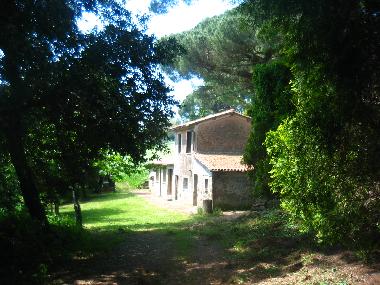 PINES HOUSE on the outside