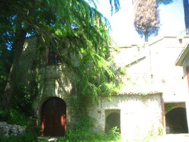 CEDARS HOUSE - private yard with caves