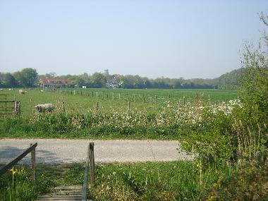 Holiday Apartment in Domburg (Zeeland) or holiday homes and vacation rentals