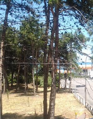 Holiday Apartment in montesilvano (Pescara) or holiday homes and vacation rentals