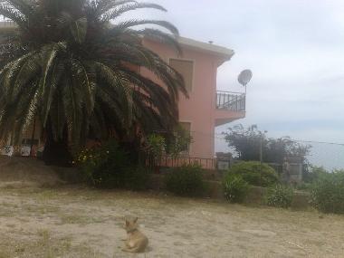 Holiday Apartment in Siniscola (Nuoro) or holiday homes and vacation rentals