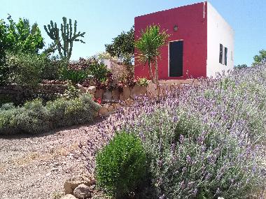 Holiday House in Es Mercadal (Menorca) or holiday homes and vacation rentals