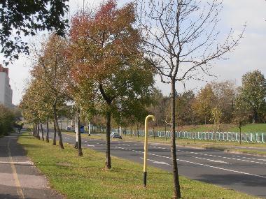 Holiday Apartment in Zagreb (Grad Zagreb) or holiday homes and vacation rentals