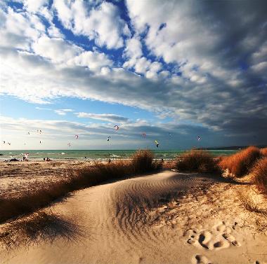 Holiday Apartment in Castiglioncello (Livorno) or holiday homes and vacation rentals