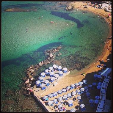 Holiday Apartment in Castiglioncello (Livorno) or holiday homes and vacation rentals