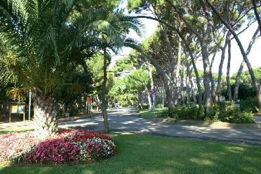 Holiday Apartment in Castiglioncello (Livorno) or holiday homes and vacation rentals