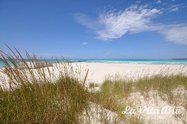 Holiday Apartment in Castiglioncello (Livorno) or holiday homes and vacation rentals