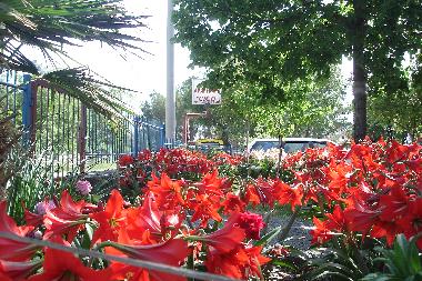 Holiday Apartment in Starigrad Paklenica (Zadarska) or holiday homes and vacation rentals