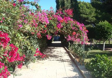 Villa in Pechina (Almera) or holiday homes and vacation rentals