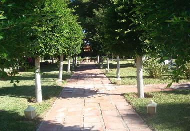 Villa in Pechina (Almera) or holiday homes and vacation rentals