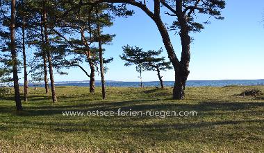 Holiday House in Binz Ostseebad (Ostsee-Inseln) or holiday homes and vacation rentals