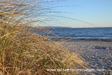 Holiday House in Binz (Ostsee-Inseln) or holiday homes and vacation rentals