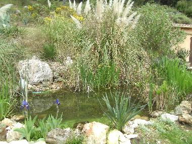 Holiday Apartment in trans en provence (Var) or holiday homes and vacation rentals