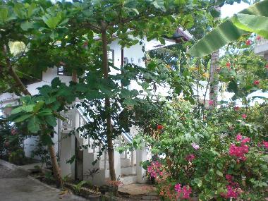 Holiday Apartment in Panglao Bohol (Bohol) or holiday homes and vacation rentals