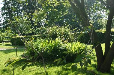 Holiday House in BRETTEVILLE DU GRAND CAUX (Seine-Maritime) or holiday homes and vacation rentals