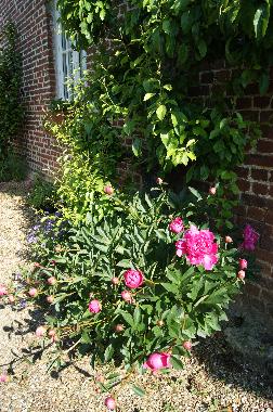 Holiday House in BRETTEVILLE DU GRAND CAUX (Seine-Maritime) or holiday homes and vacation rentals