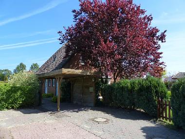 Holiday House in Sch�nberg-Kalifornien (Ostsee-Festland) or holiday homes and vacation rentals