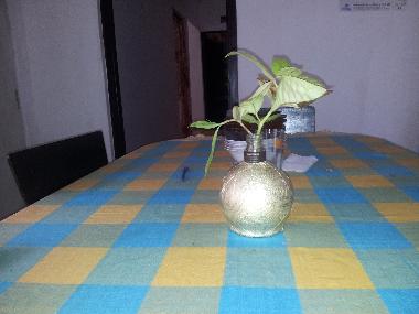 Bed and Breakfast in Hikkaduwa (Galle) or holiday homes and vacation rentals