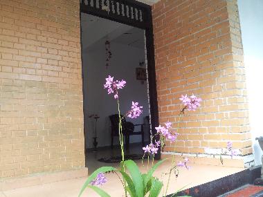 Bed and Breakfast in Hikkaduwa (Galle) or holiday homes and vacation rentals