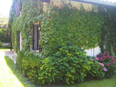 Villa in Hendaye (Pyrnes-Atlantiques) or holiday homes and vacation rentals