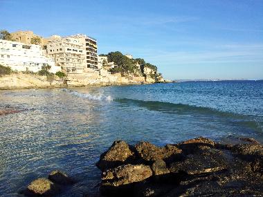 Holiday Apartment in mallorca (Mallorca) or holiday homes and vacation rentals