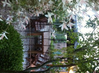 Holiday Apartment in Biggekerke (Zeeland) or holiday homes and vacation rentals